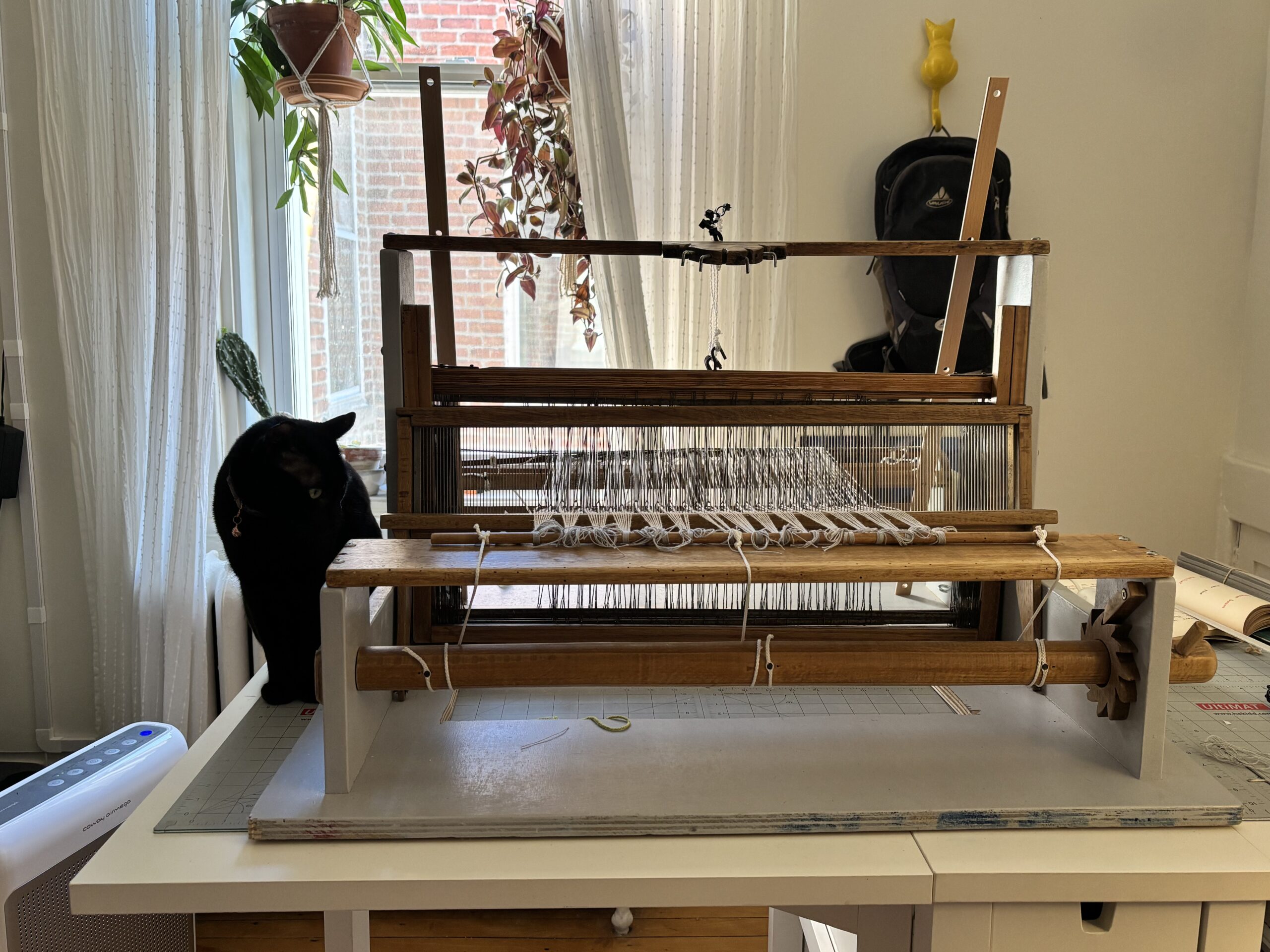 Penelope the black cat sits beside my table loom, which is threaded with grey warp yarn.