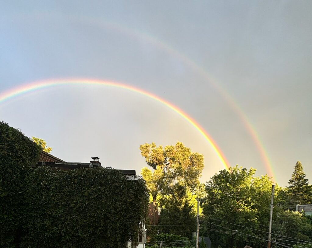 an intense double rainbow in the sky over our garden and everyone's gardens
